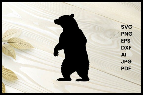 Bear Standing on Hind Legs Illustration Review