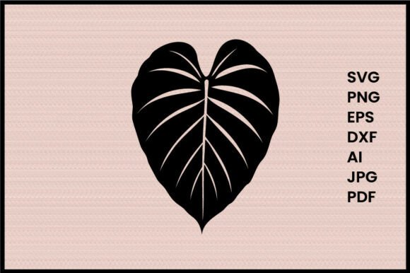 Elephant Ear Leaf Illustration