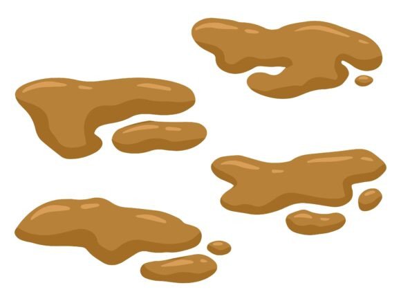Human Feces Severe Diarrhea Type